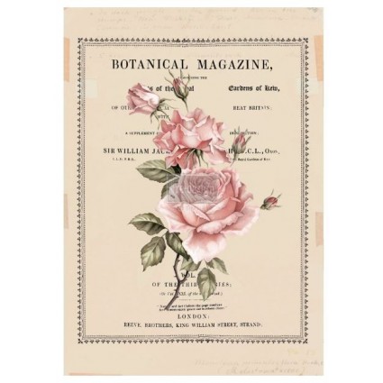 Beautiful Botanist re.design Decor Transfers